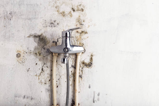 Best Mold Testing  in Sapulpa, OK