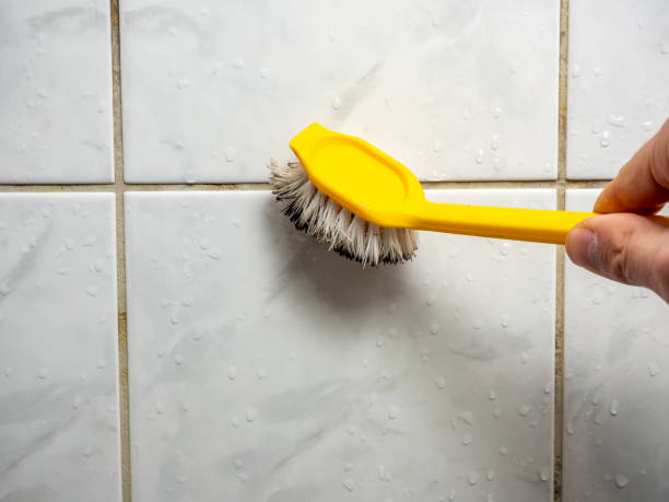 Mold Removal Process in Sapulpa, OK