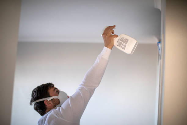 Best Office Mold Removal Services  in Sapulpa, OK