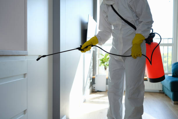 Best Mold Remediation  in Sapulpa, OK