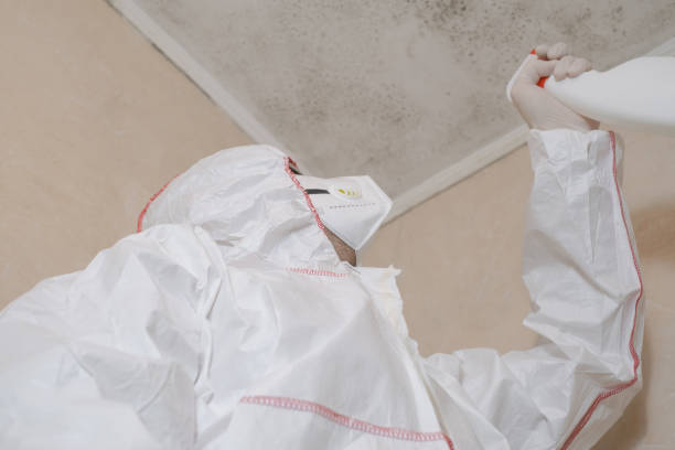 Best Residential Mold Removal  in Sapulpa, OK
