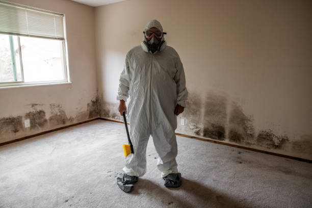 Best Home Mold Removal  in Sapulpa, OK