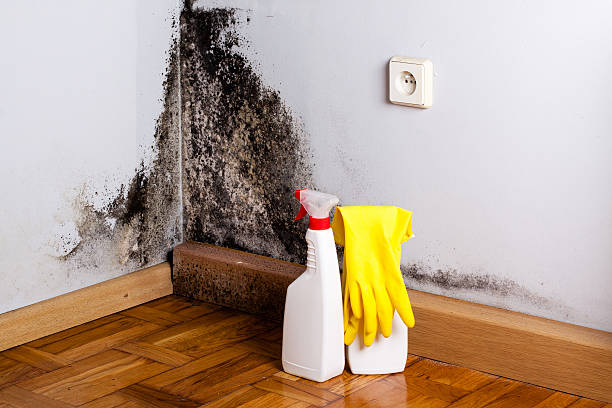 Best Emergency Mold Removal  in Sapulpa, OK